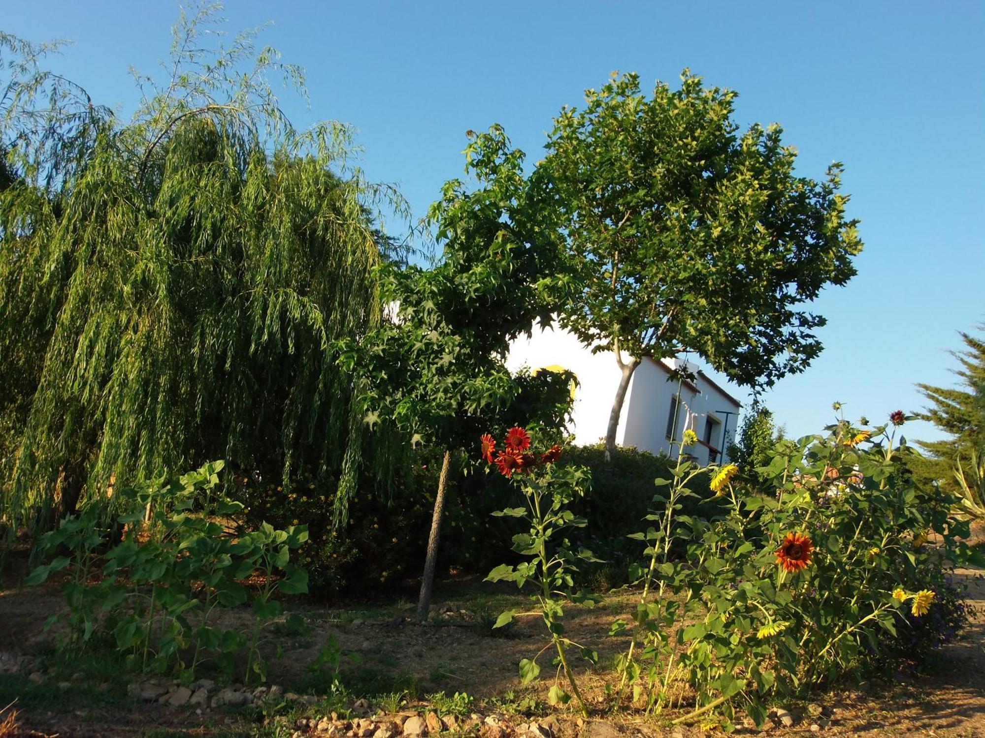 Ninho Da Poupa Guest House เซอร์ปา ภายนอก รูปภาพ